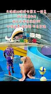 天津海昌极地海洋世界，天津海昌极地海洋世界攻略  第2张