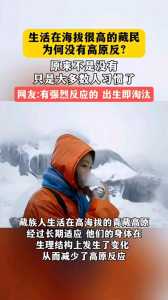 米亚罗风景区海拔,米亚罗风景区几a 第5张 米亚罗风景区海拔,米亚罗风景区几a 第5张