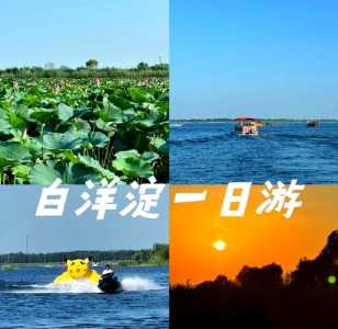 保定白洋淀一日游攻略,保定白洋淀游玩攻略? 第5张 保定白洋淀一日游攻略,保定白洋淀游玩攻略? 第5张