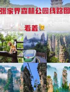 张家界森林公园游玩攻略,张家界森林公园游玩攻略地图? 第1张 张家界森林公园游玩攻略,张家界森林公园游玩攻略地图? 第1张