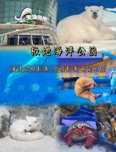 天津海底世界门票多少钱一张,天津海底世界门票多少钱一张2019年 第1张 天津海底世界门票多少钱一张,天津海底世界门票多少钱一张2019年 第1张