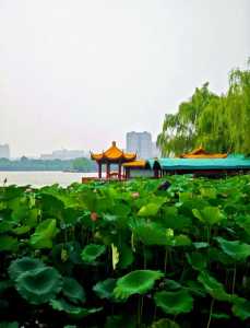 济南景点大全一日游,济南玩一天最值得去的景点? 第2张 济南景点大全一日游,济南玩一天最值得去的景点? 第2张