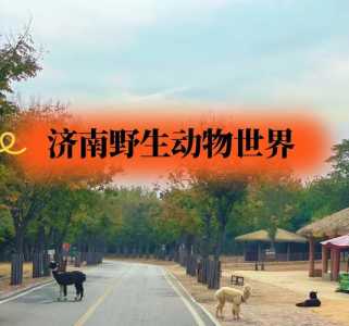 济南野生动物园官方网站,济南野生动物园官方网站网址 第1张 济南野生动物园官方网站,济南野生动物园官方网站网址 第1张