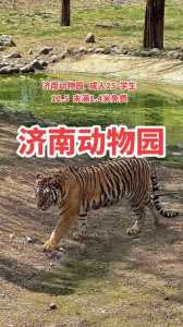 济南野生动物园官方网站,济南野生动物园官方网站网址 第6张 济南野生动物园官方网站,济南野生动物园官方网站网址 第6张