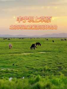 承德旅游攻略2天,承德旅游景点攻略一日游? 第4张 承德旅游攻略2天,承德旅游景点攻略一日游? 第4张