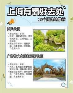 上海公园景点排名榜?上海前十公园必去? 第2张 上海公园景点排名榜?上海前十公园必去? 第2张