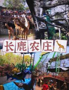 顺德长鹿农庄攻略，顺徳长鹿农庄攻略？  第3张
