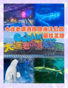 海洋世界门票多少钱一张,海洋世界门票多少钱一张贵阳 第2张 海洋世界门票多少钱一张,海洋世界门票多少钱一张贵阳 第2张