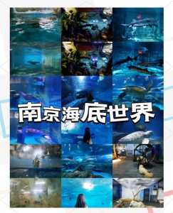 海洋世界门票多少钱一张,海洋世界门票多少钱一张贵阳 第4张 海洋世界门票多少钱一张,海洋世界门票多少钱一张贵阳 第4张
