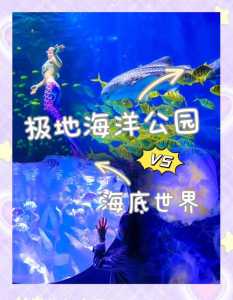 海洋世界门票多少钱一张,海洋世界门票多少钱一张贵阳 第6张 海洋世界门票多少钱一张,海洋世界门票多少钱一张贵阳 第6张