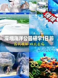 海洋馆门票多少钱,沈阳海洋馆门票多少钱 第1张 海洋馆门票多少钱,沈阳海洋馆门票多少钱 第1张