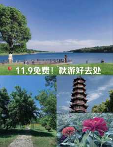 南京一日游攻略及路线，南京一日游路线安排  第3张