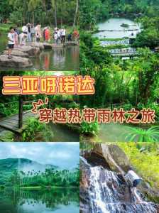 三亚呀诺达热带雨林,三亚呀诺达热带雨林在哪里? 第3张 三亚呀诺达热带雨林,三亚呀诺达热带雨林在哪里? 第3张