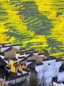 婺源必去的三个景点,婺源必去的三个景点门票费用 第2张 婺源必去的三个景点,婺源必去的三个景点门票费用 第2张