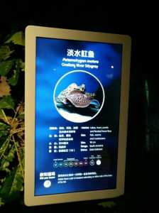 上海长风公园门票费用？上海长风公园门票费用表？  第3张