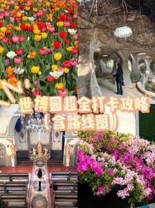 沈阳世博园好玩吗,沈阳世博园有什么玩的 第1张 沈阳世博园好玩吗,沈阳世博园有什么玩的 第1张