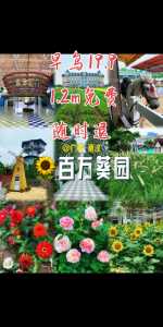 百万葵园有什么好玩的?百万葵园有什么好玩的景点? 第1张 百万葵园有什么好玩的?百万葵园有什么好玩的景点? 第1张