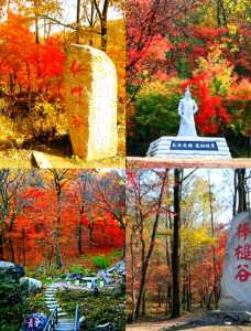 吉林蛟河红叶谷旅游攻略,蛟河红叶谷怎么样,值得一去吗? 第1张 吉林蛟河红叶谷旅游攻略,蛟河红叶谷怎么样,值得一去吗? 第1张