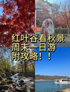 吉林蛟河红叶谷旅游攻略,蛟河红叶谷怎么样,值得一去吗? 第4张 吉林蛟河红叶谷旅游攻略,蛟河红叶谷怎么样,值得一去吗? 第4张
