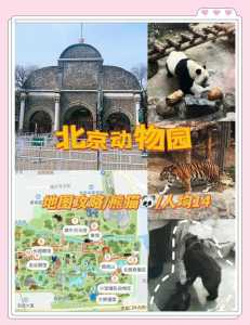 北京动物园门票预约,北京动物园门票预约官方网站入口? 第1张 北京动物园门票预约,北京动物园门票预约官方网站入口? 第1张