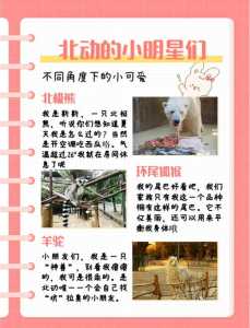 北京动物园门票预约,北京动物园门票预约官方网站入口? 第3张 北京动物园门票预约,北京动物园门票预约官方网站入口? 第3张