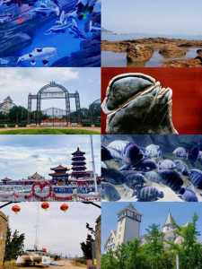 烟台旅游必去的地方,烟台旅游必去的地方有哪些? 第4张 烟台旅游必去的地方,烟台旅游必去的地方有哪些? 第4张