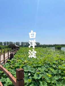 白洋淀景区开放时间？白洋淀景区对外开放了吗？  第2张