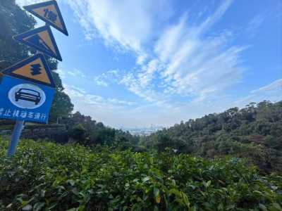 火炉山森林公园?火炉山森林公园地图? 第4张 火炉山森林公园?火炉山森林公园地图? 第4张