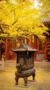 北京必去前十寺庙，北京必去前十寺庙有哪些,求学业去哪个寺庙最灵验?  第5张