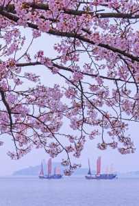 无锡旅游攻略一日游,无锡一日游最佳攻略自由行 第5张 无锡旅游攻略一日游,无锡一日游最佳攻略自由行 第5张
