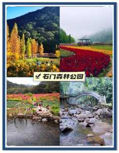 从化良口镇旅游攻略,从化良口镇的景点介绍? 第5张 从化良口镇旅游攻略,从化良口镇的景点介绍? 第5张
