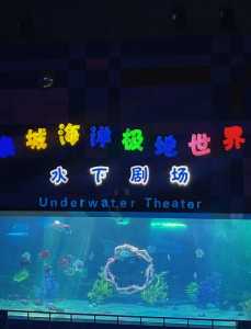 济南泉城极地海洋世界?济南泉城极地海洋世界门票? 第2张 济南泉城极地海洋世界?济南泉城极地海洋世界门票? 第2张