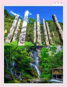 湖北神农架旅游好玩吗?湖北神农架一日游攻略? 第6张 湖北神农架旅游好玩吗?湖北神农架一日游攻略? 第6张