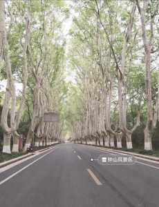 南京中山陵门票预约官方网站,南京中山陵门票预约官方网站网址 第3张 南京中山陵门票预约官方网站,南京中山陵门票预约官方网站网址 第3张