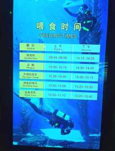 上海水族馆门票,上海水族馆门票预订 第1张 上海水族馆门票,上海水族馆门票预订 第1张