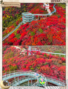 淄博旅游景点大全排名一日游,淄博旅游攻略必玩的景点 第2张 淄博旅游景点大全排名一日游,淄博旅游攻略必玩的景点 第2张