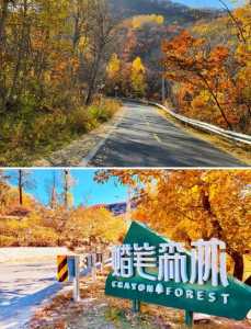怀柔风景区旅游景点,怀柔风景区有哪些好玩的地方 第2张 怀柔风景区旅游景点,怀柔风景区有哪些好玩的地方 第2张