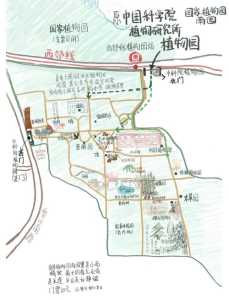 北京植物园预约门票，北京植物园预约门票公众号？  第3张