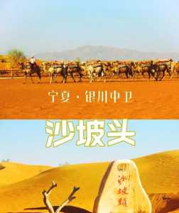 宁夏沙坡头景区,宁夏沙坡头景区酒店? 第1张 宁夏沙坡头景区,宁夏沙坡头景区酒店? 第1张