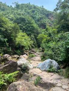 佛山南海湾森林生态园，佛山南海湾森林生态园好玩吗？  第1张