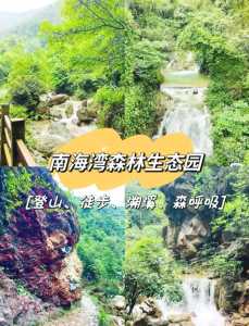 佛山南海湾森林生态园，佛山南海湾森林生态园好玩吗？  第2张