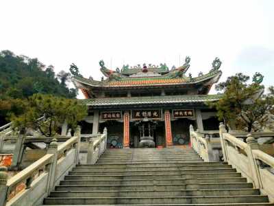 佛山南海湾森林生态园，佛山南海湾森林生态园好玩吗？  第3张