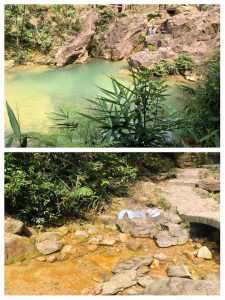 佛山南海湾森林生态园，佛山南海湾森林生态园好玩吗？  第5张