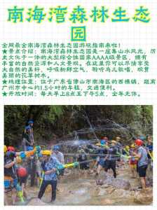 佛山南海湾森林生态园，佛山南海湾森林生态园好玩吗？  第6张