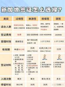 新加坡签证办理流程，新加坡签证办理流程及所需材料？  第3张