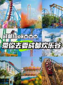 成都欢乐谷门票加2020，成都欢乐谷门票贵吗  第5张