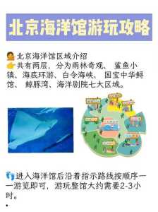 北京海洋馆表演时间?北京海洋馆表演场次? 第5张 北京海洋馆表演时间?北京海洋馆表演场次? 第5张