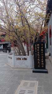 鹿泉旅游景点大全,鹿泉八个免费景点? 第5张 鹿泉旅游景点大全,鹿泉八个免费景点? 第5张