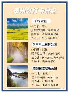 泰州旅游攻略必玩的景点，泰州旅游景点排名前十泰州  第3张