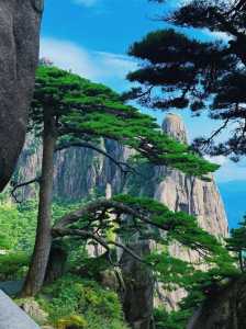 安徽必去五大旅游景点，安徽哪些旅游景点  第3张